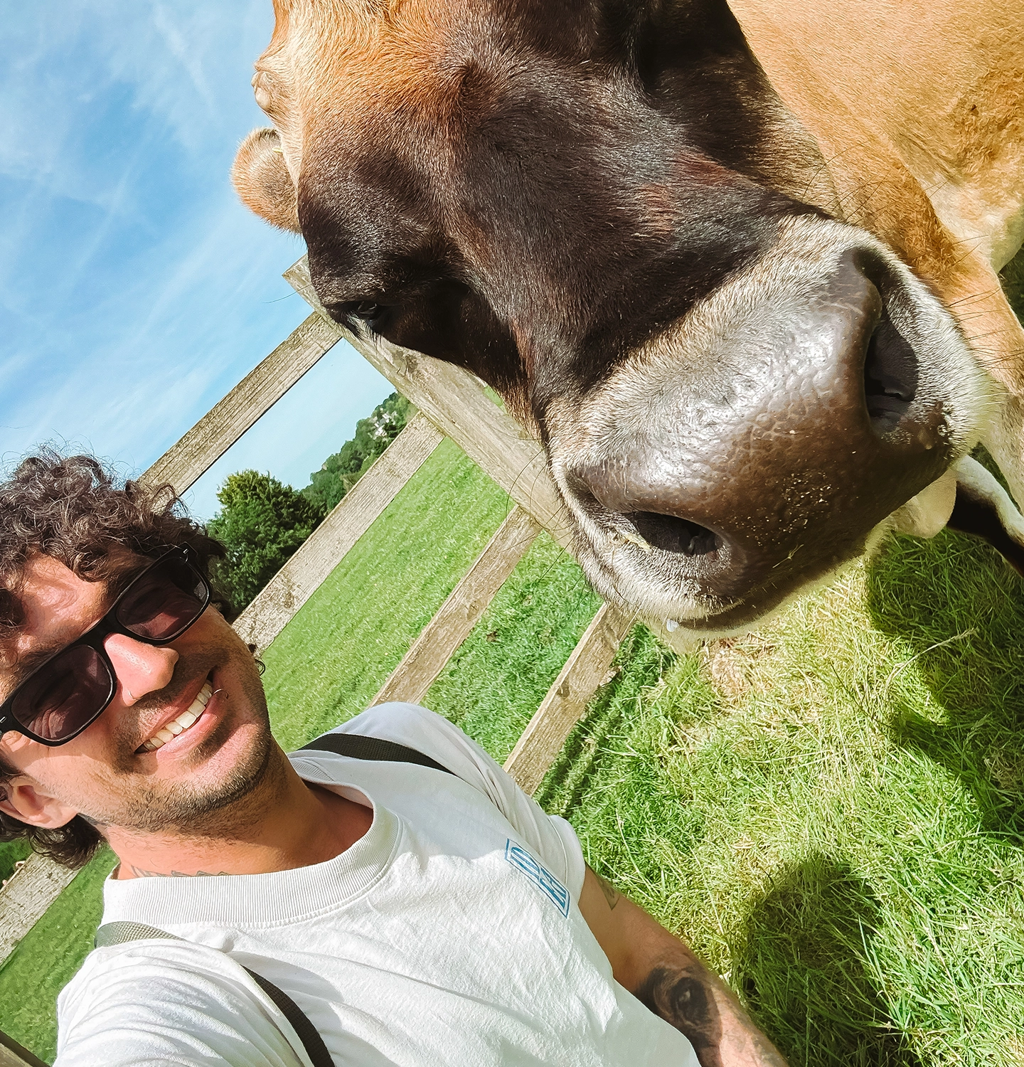 Animal lover